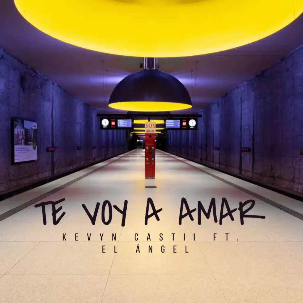Te Voy a Amar (feat. El Angel)