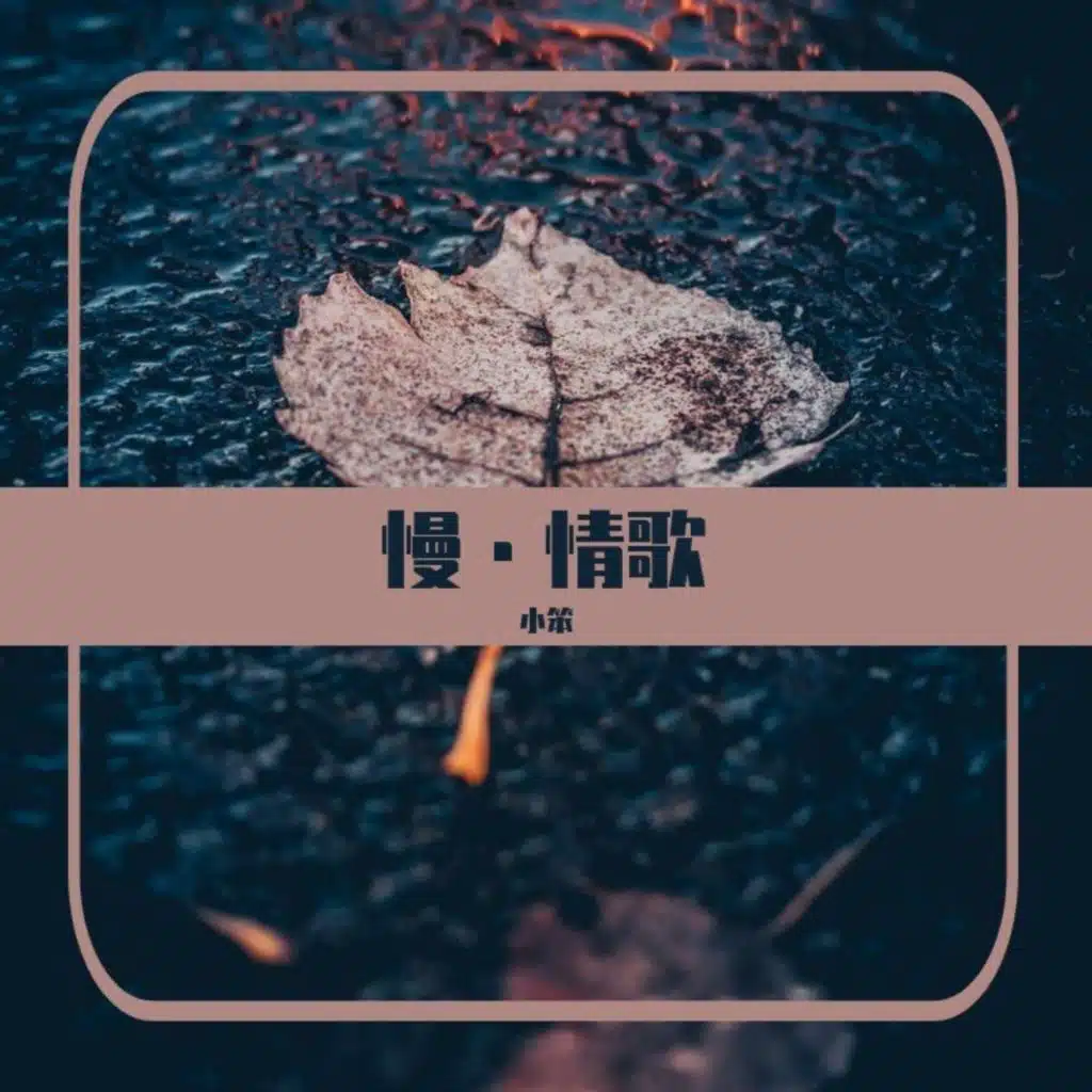 慢·情歌