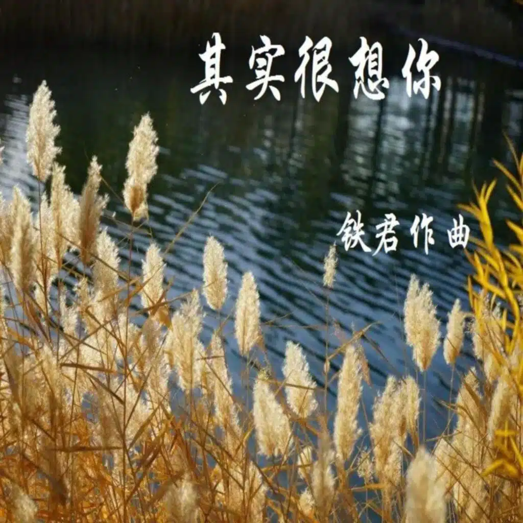 心莲