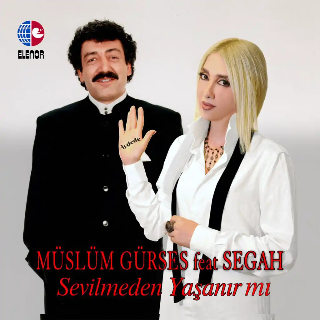 Sevilmeden Yaşanır Mı (feat. Segah)