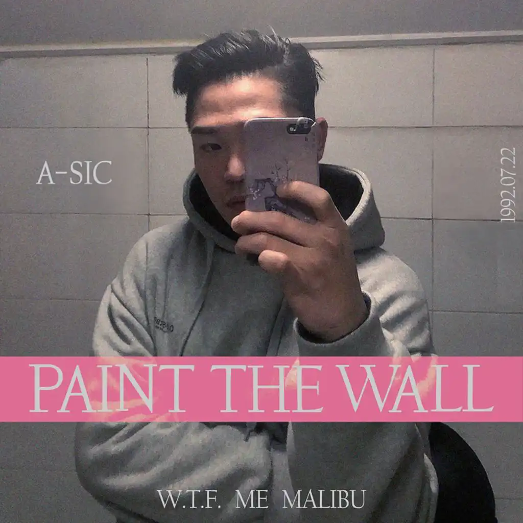 PAINT THE WALL