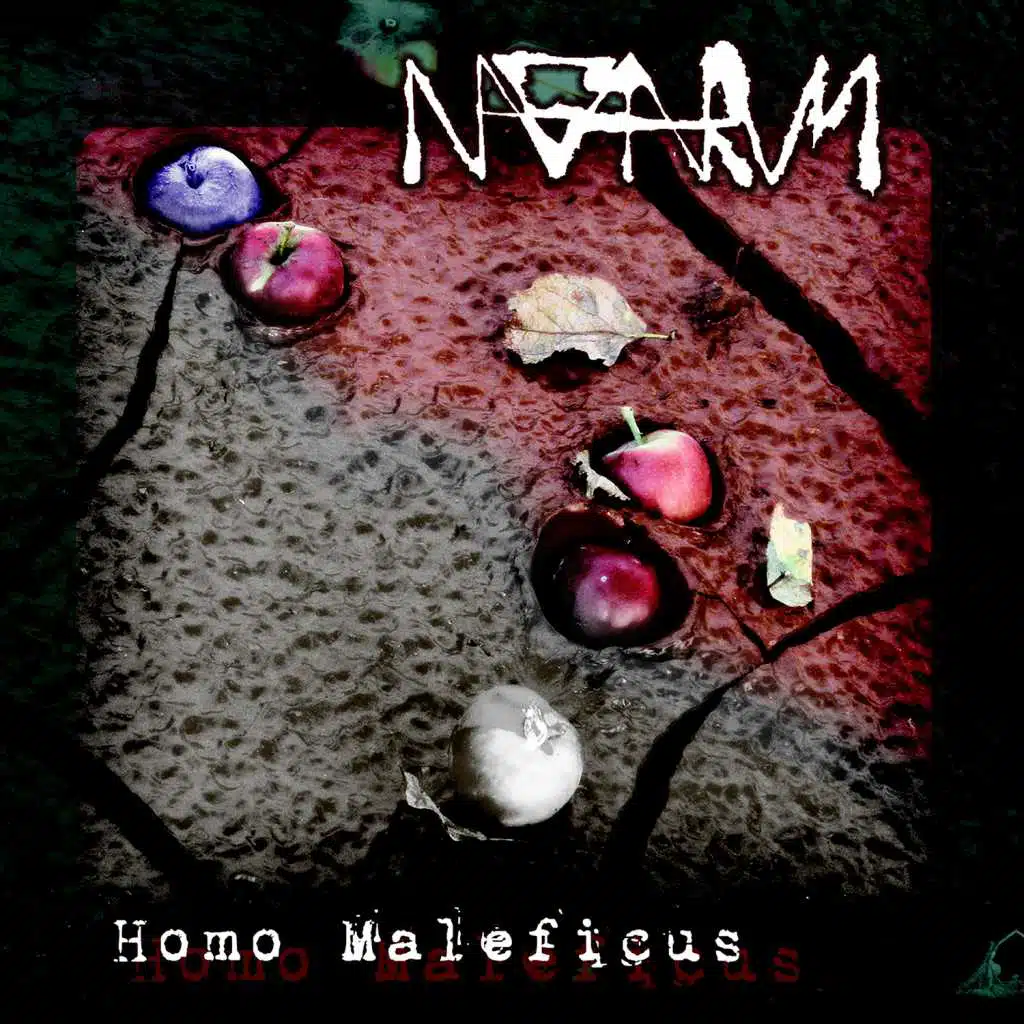 Homo Maleficus