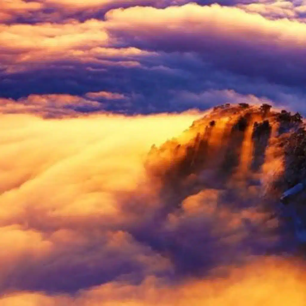 沙雕少年可乐君