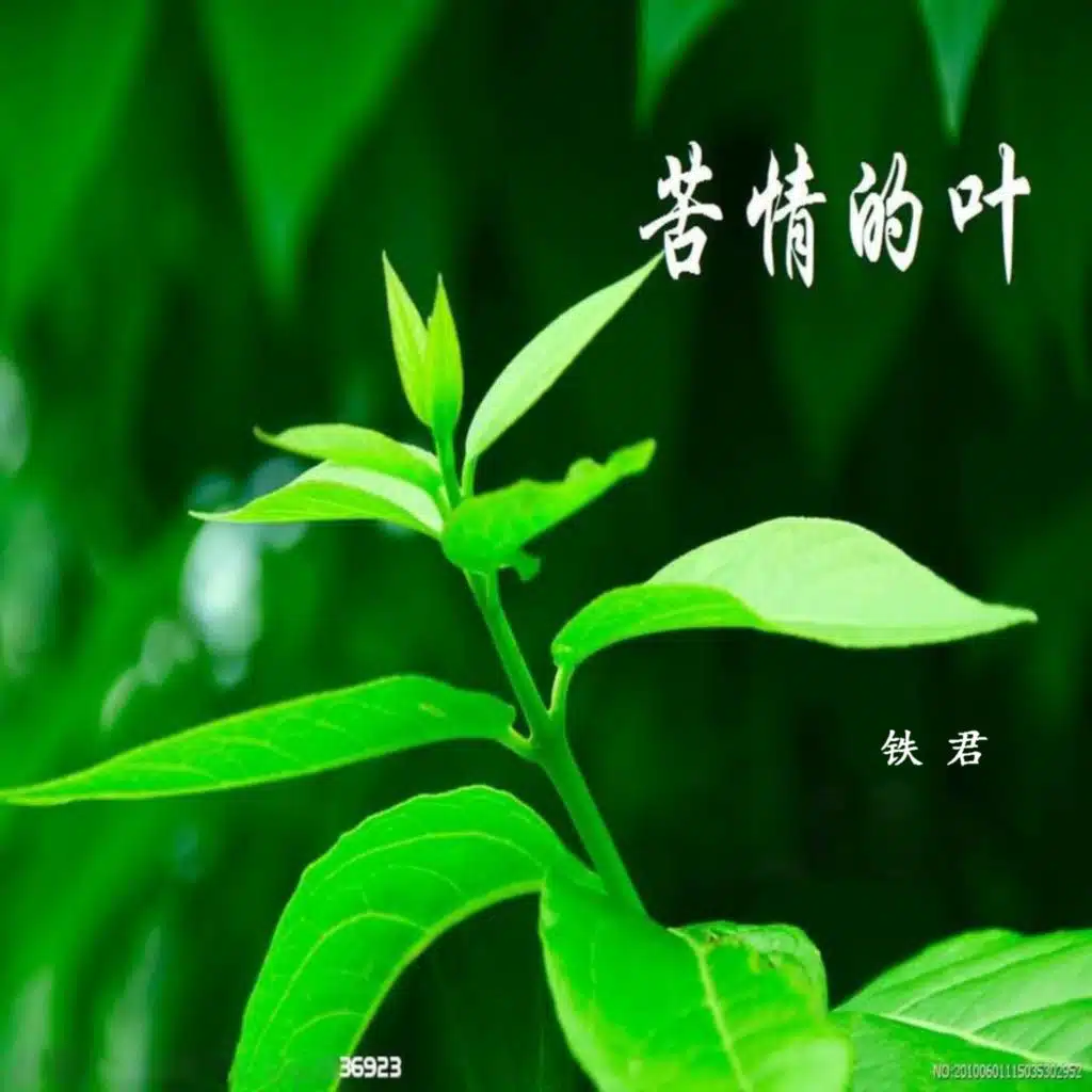 人生何处是春天 (苏贤文)