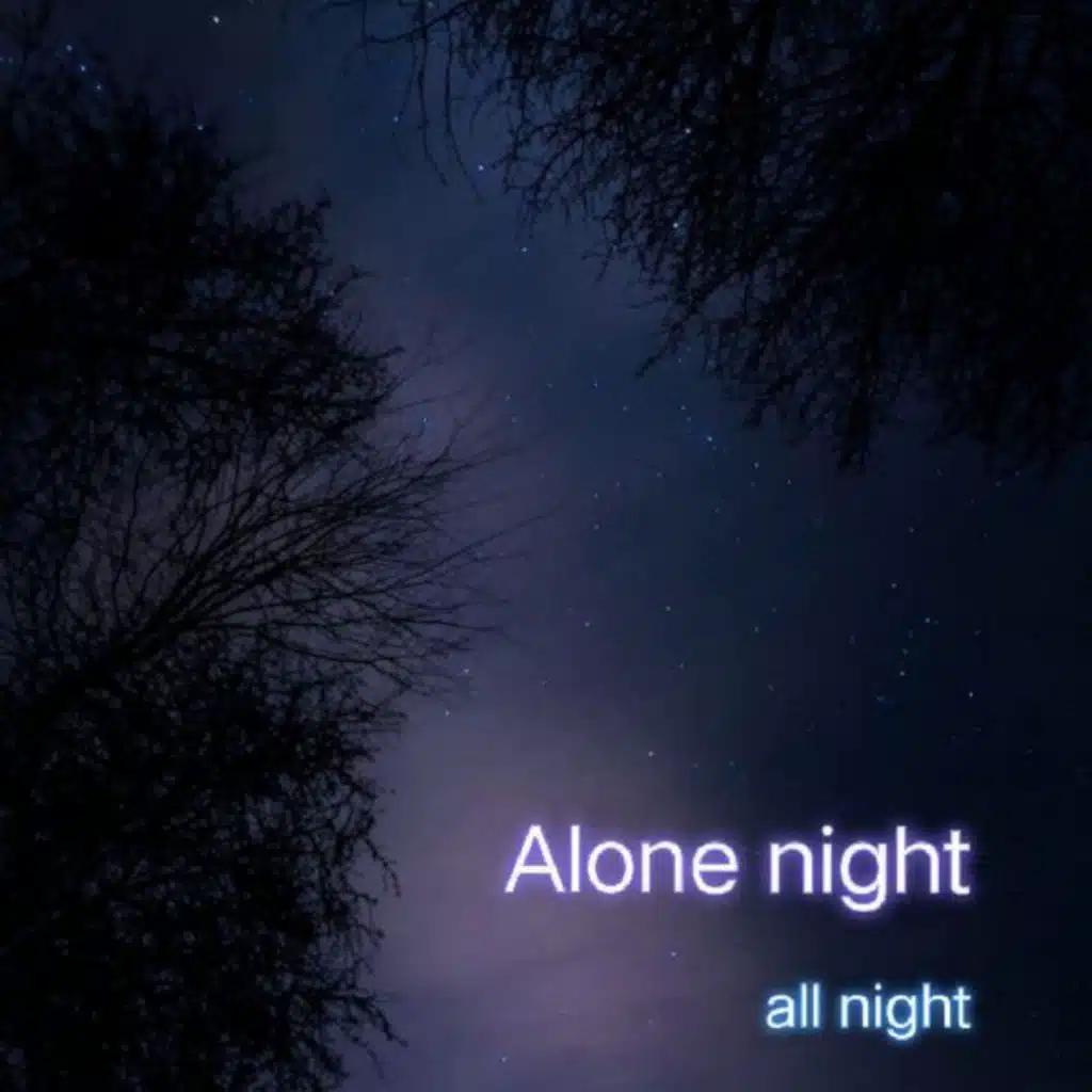 Alone Night (纯音乐)