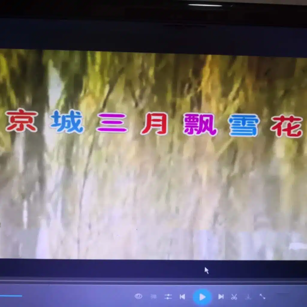 京城三月飘雪花 (雅兰赵勇德版)