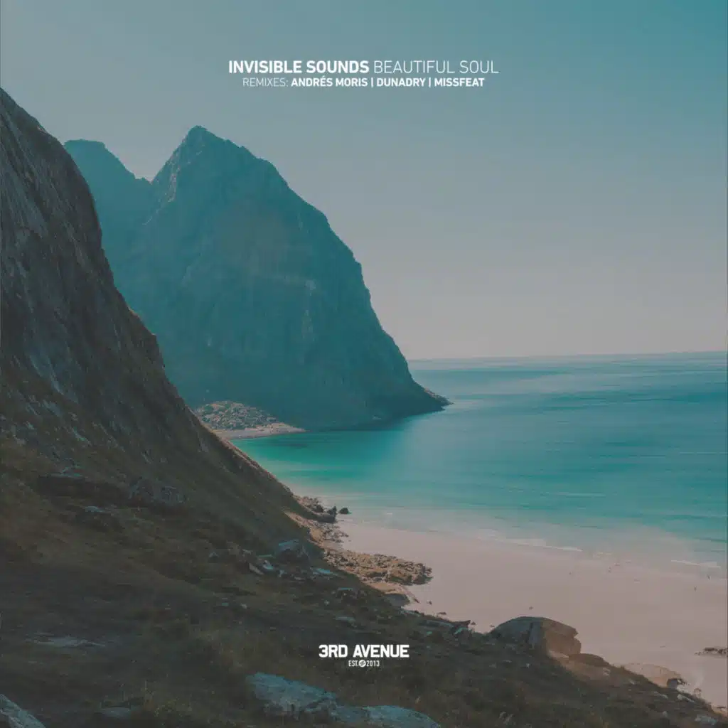 Beautiful Soul (Missfeat Remix)