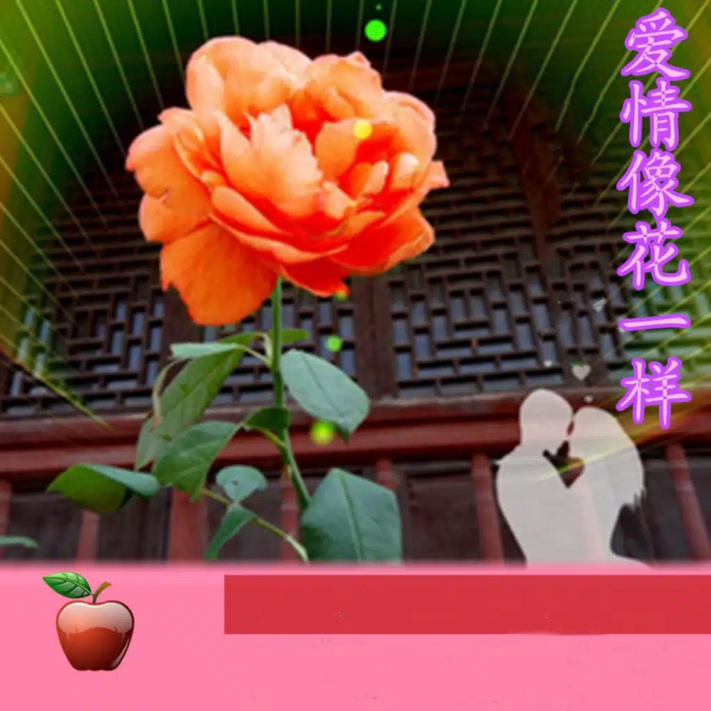 默默的情怀