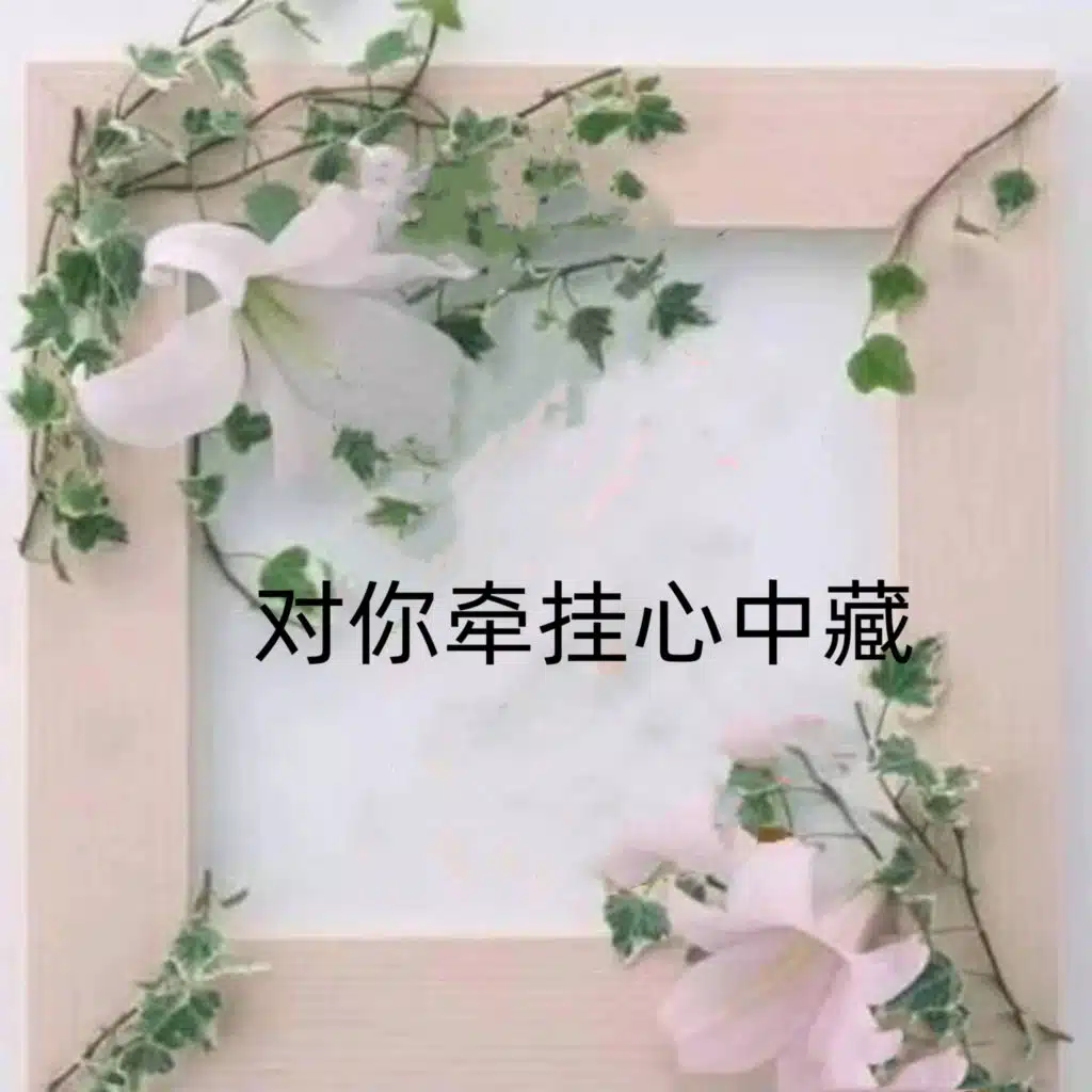 对你牵挂心中藏