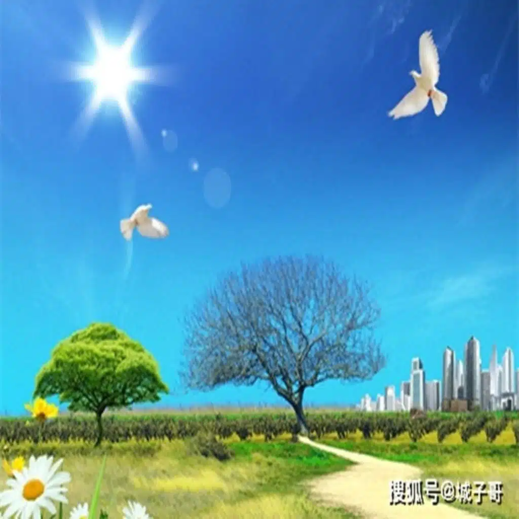 叶连军征歌作品辑