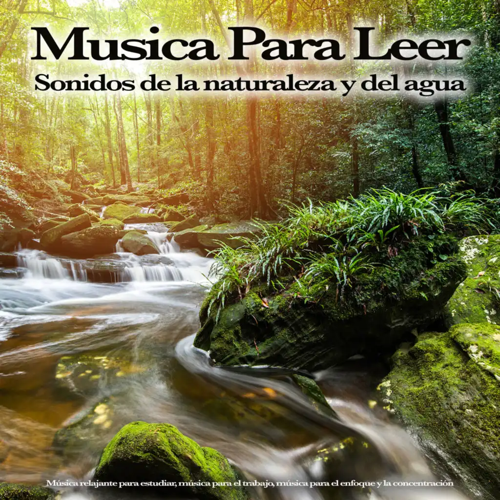 Música para leer