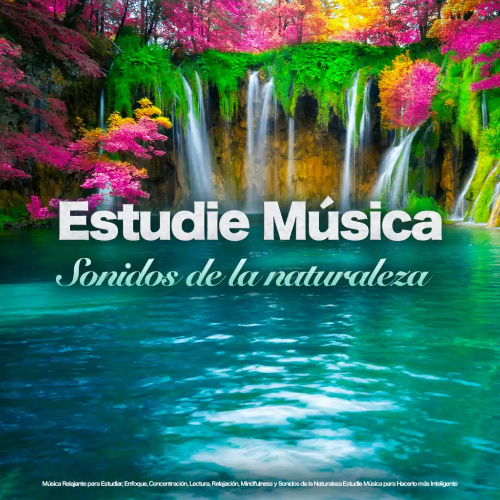 Estudiar música - Música tranquila