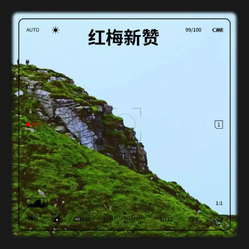 红梅新赞