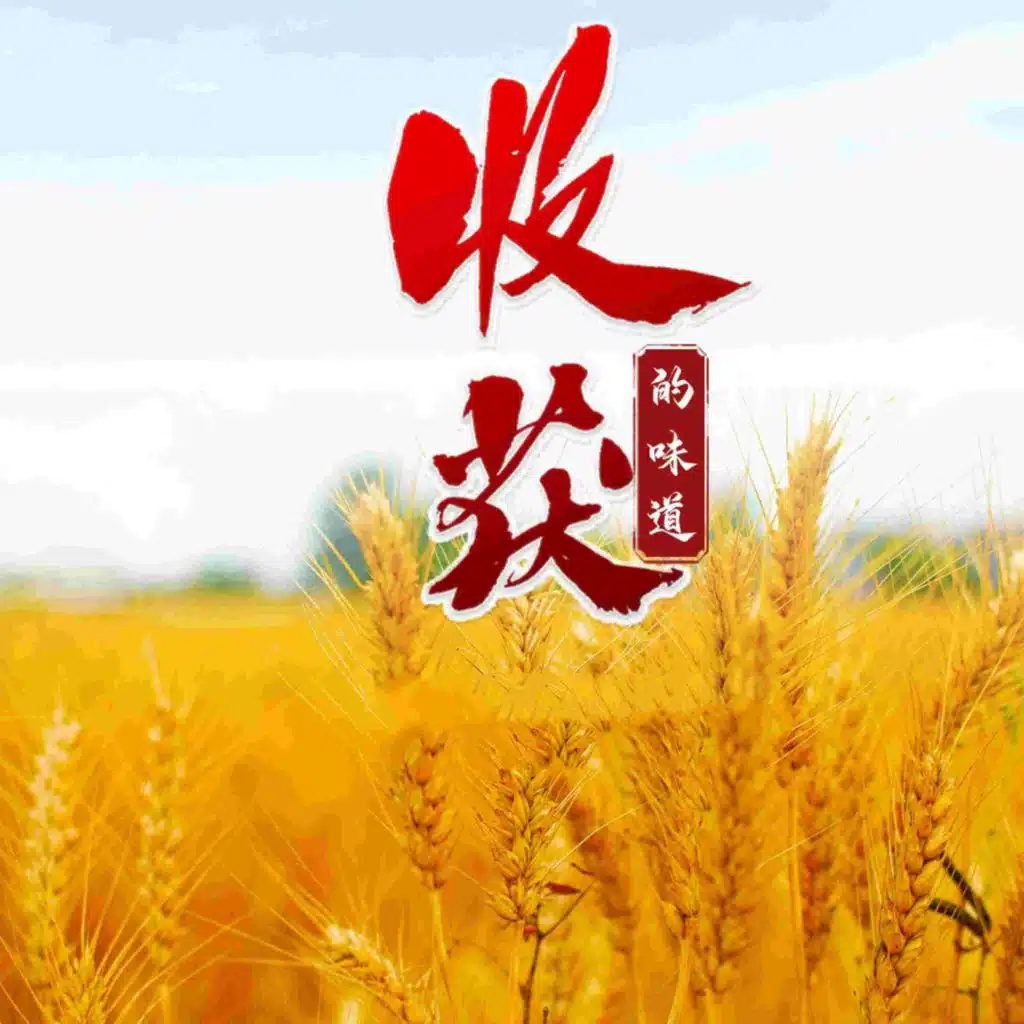 收获的味道 (合唱版)