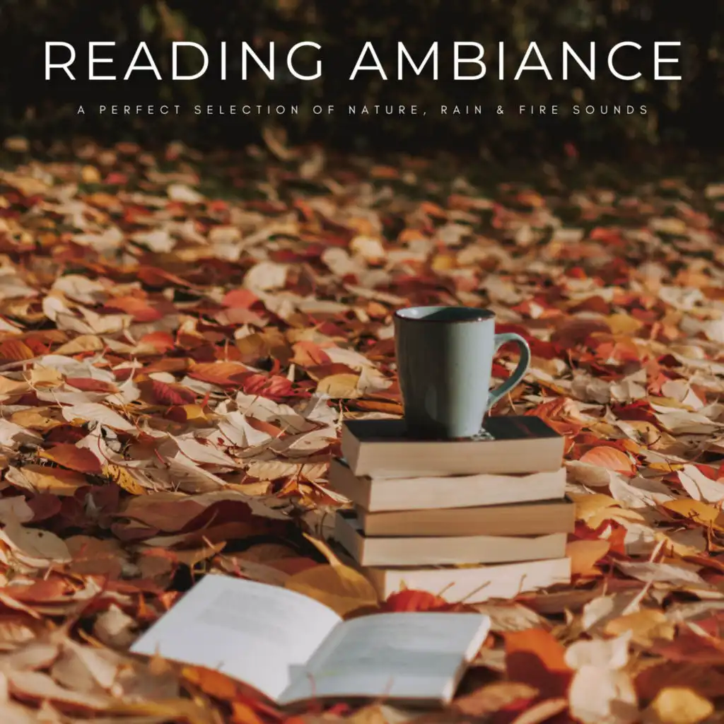 Reading Ambiance: A Perfect Selection Of Nature, Rain & Fire Sounds