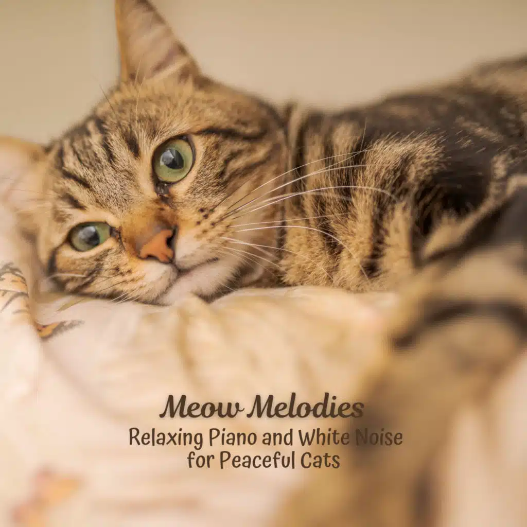 Meow Melodies: Relaxing Piano and White Noise for Peaceful Cats