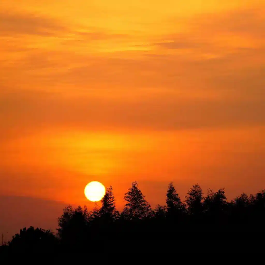 吴飞词曲作品集Vol.3