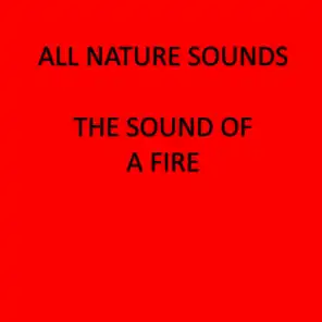 The Sound of a Fire