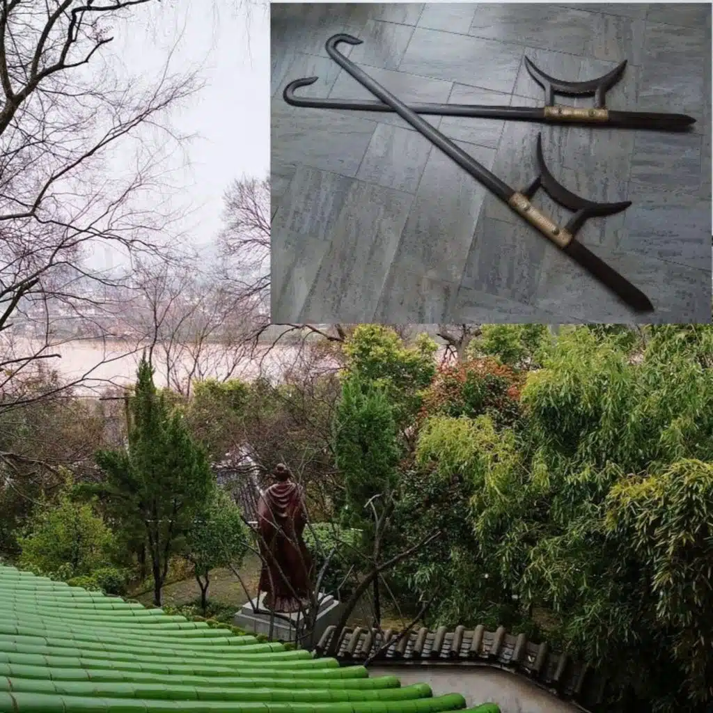 媛媛