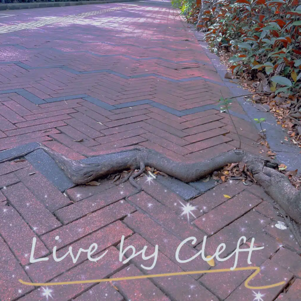 Live by Cleft