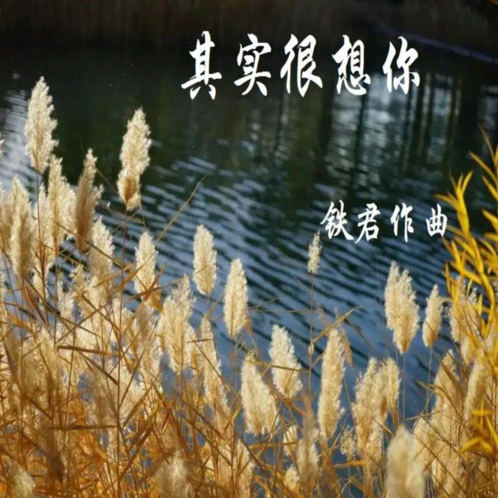 其实很想你 (清月版)