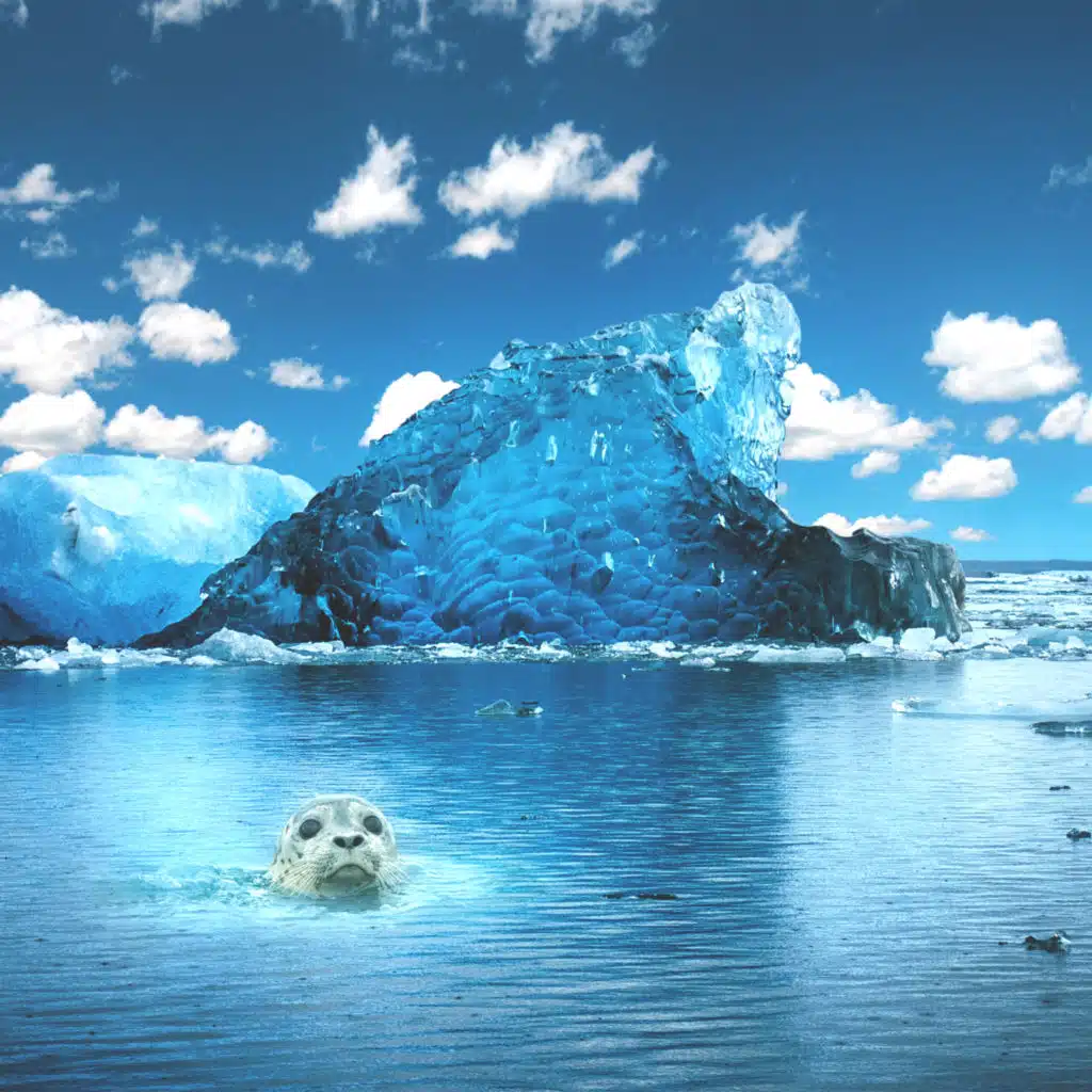 Ice Water