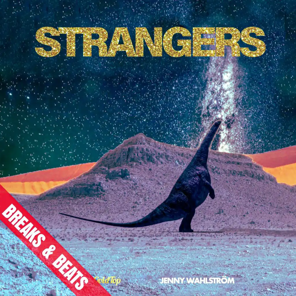 Strangers (Mini Remix) [feat. Jenny Wahlstrom]