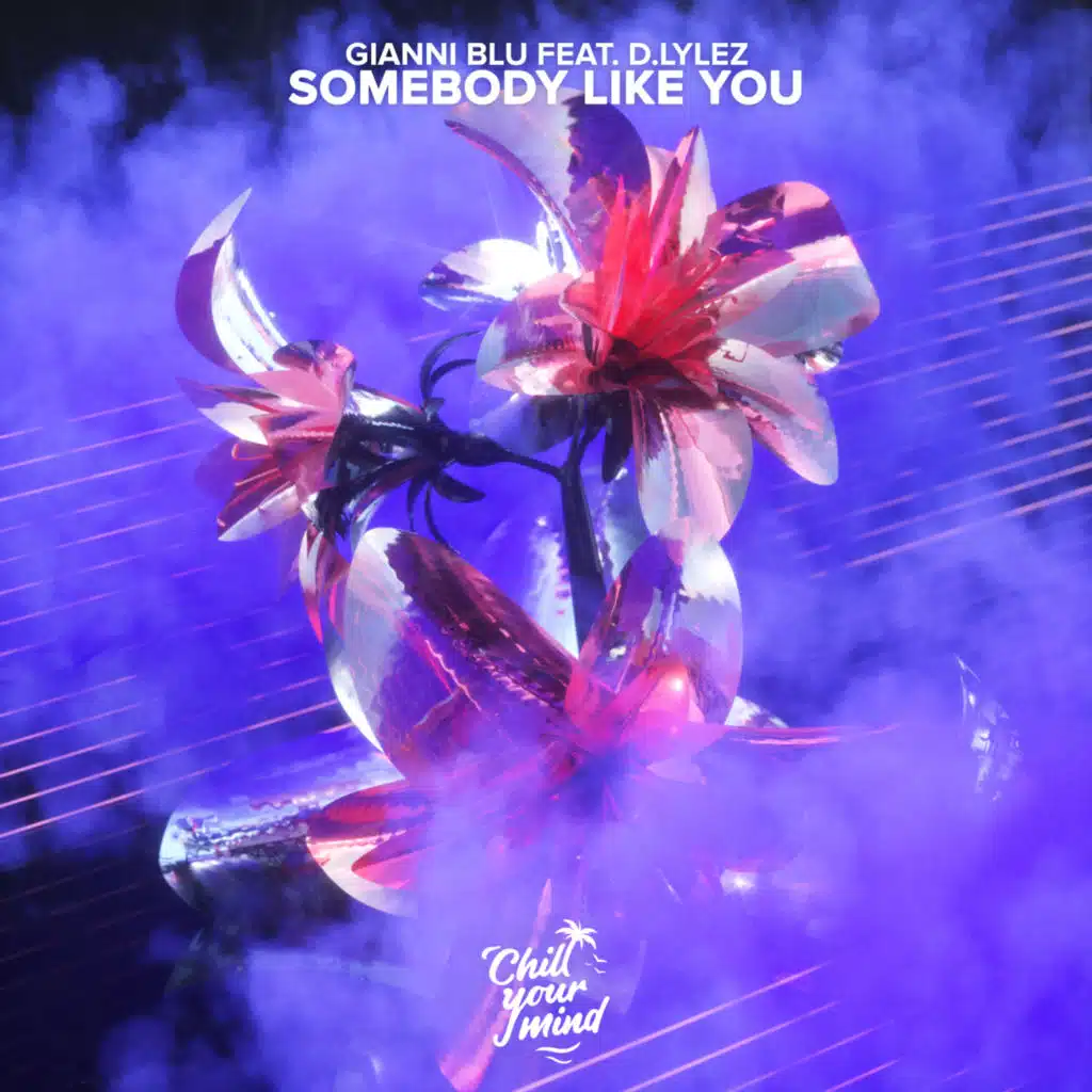 Somebody Like You (feat. D. Lylez)