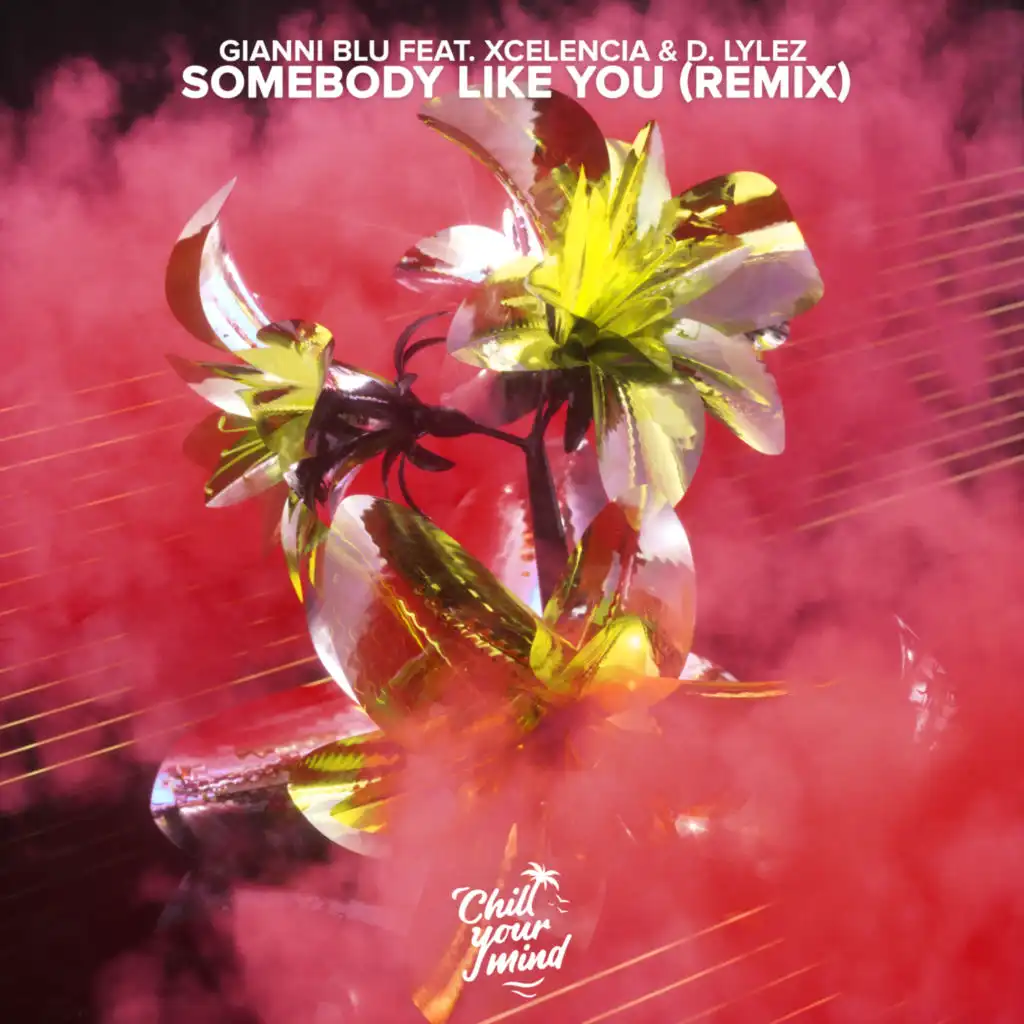 Somebody Like You (Xcelencia Remix) [feat. D. Lylez]