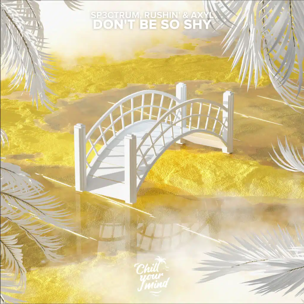 Don't Be so Shy (feat. Rushin')