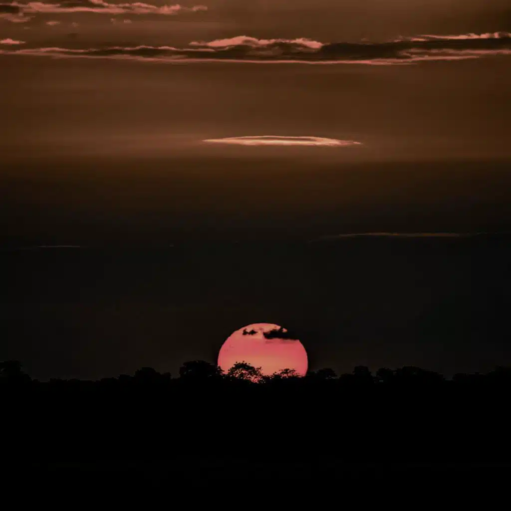 Peace  (Slowed + Reverb)