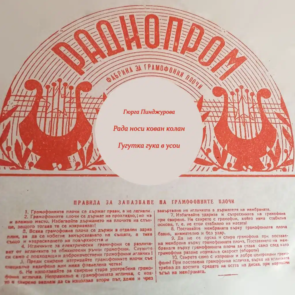 Rada nosi kovan kolan