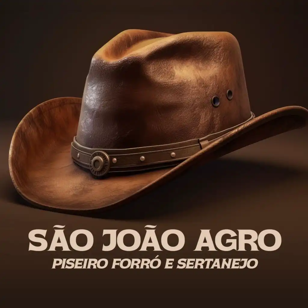 Festa de rodeio