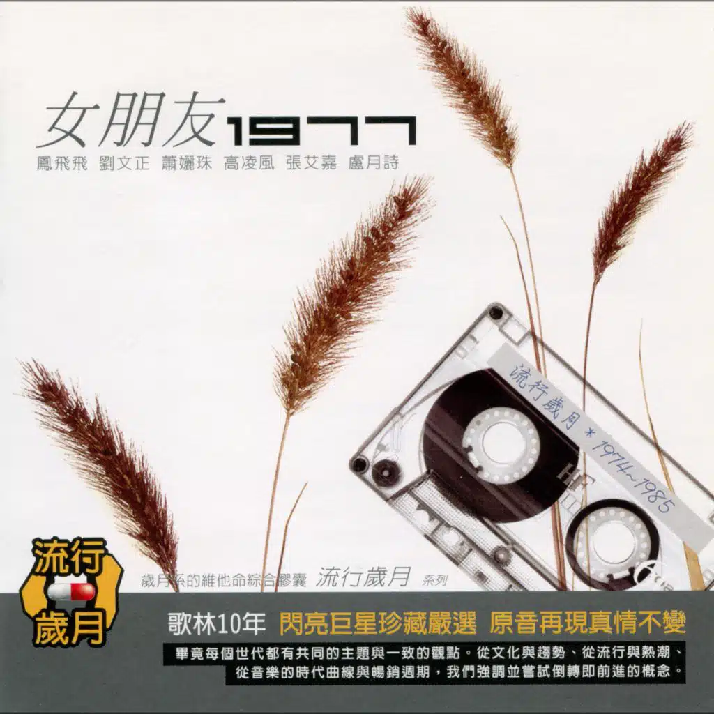 流行歲月系列 歌林10年 女朋友1977
