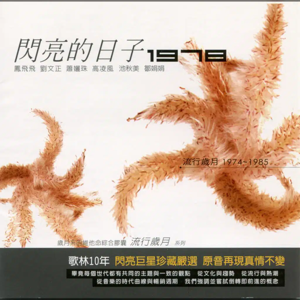 流行歲月系列 歌林10年 閃亮的日子1978
