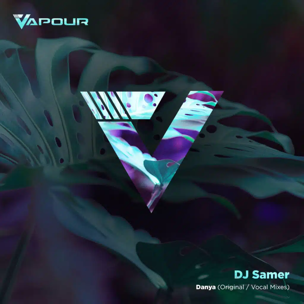 DJ Samer