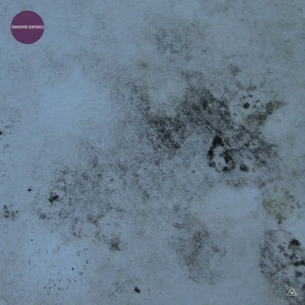 Transition Sentences