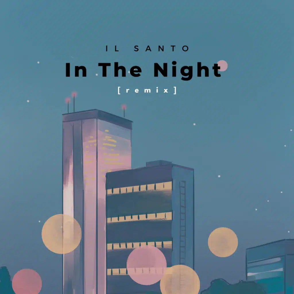 In The Night (Remix Version)