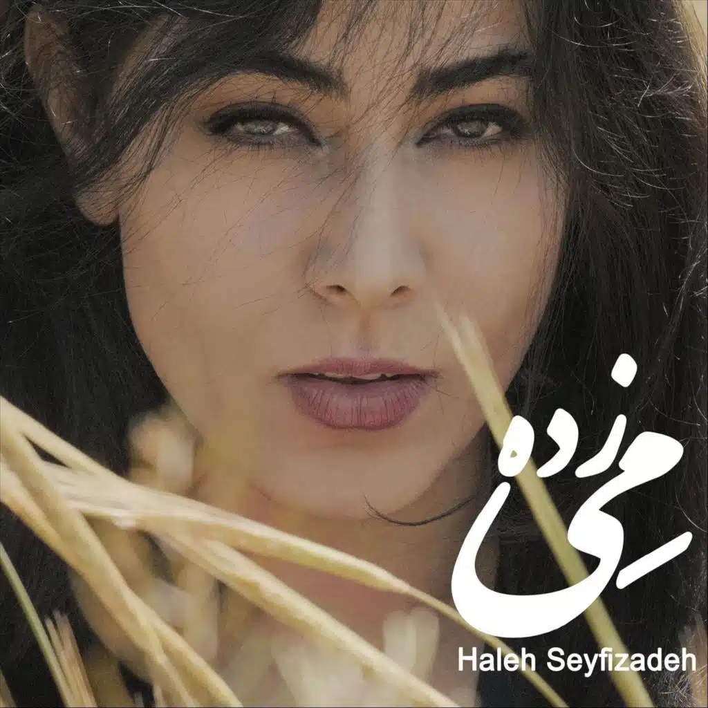 Haleh Seyfizadeh