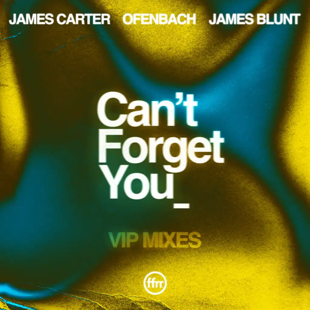 Can’t Forget You (feat. James Blunt) [VIP Mixes]