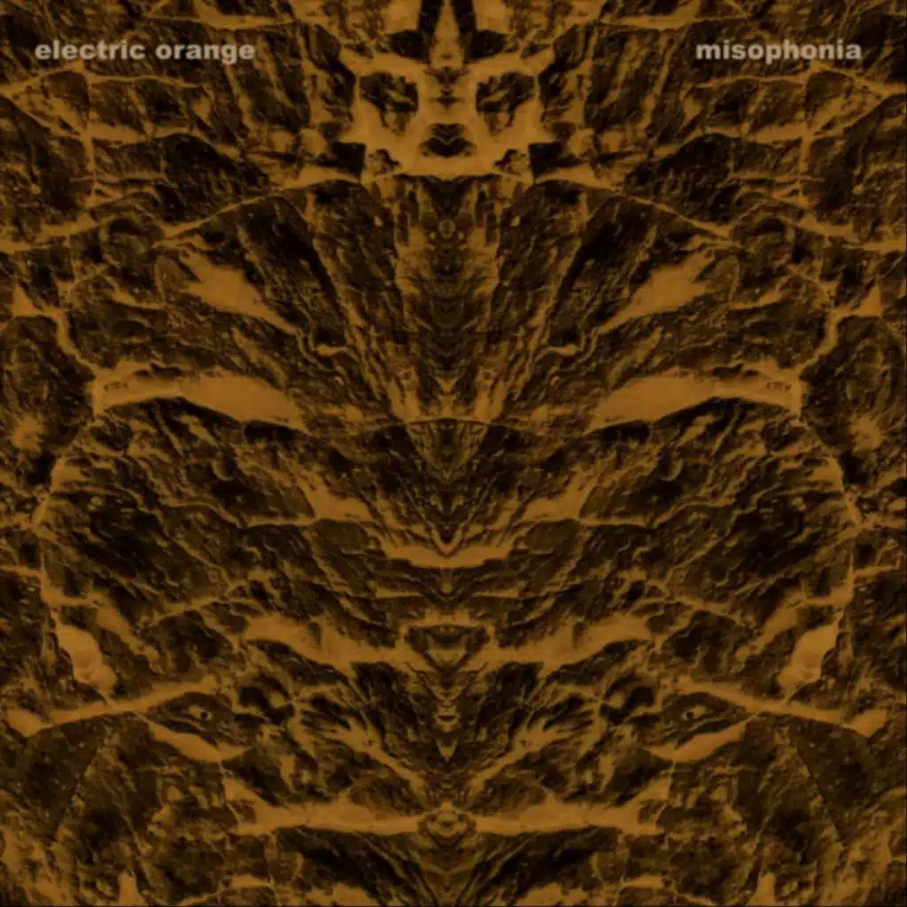 Misophonia