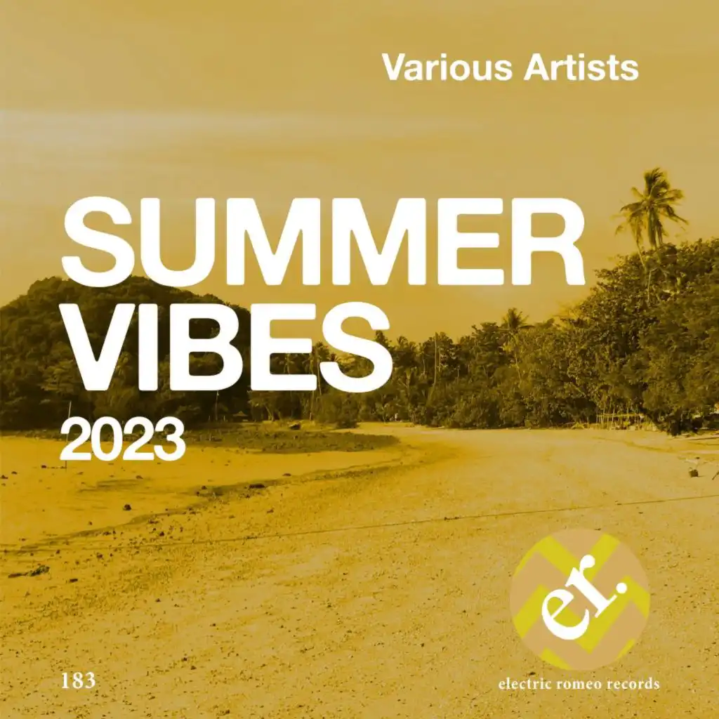 Various Artists Summer Vbes 2023