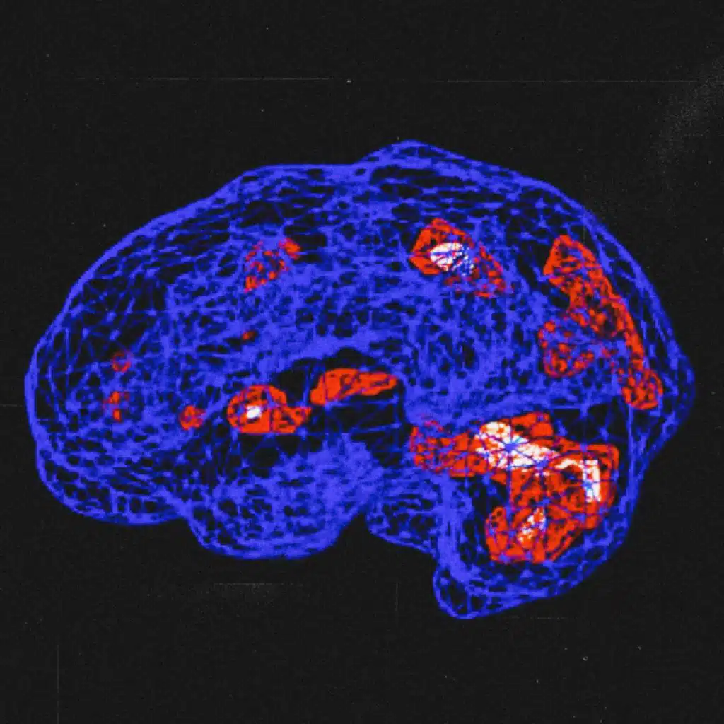 Sandi Beige & The Vintage Youth