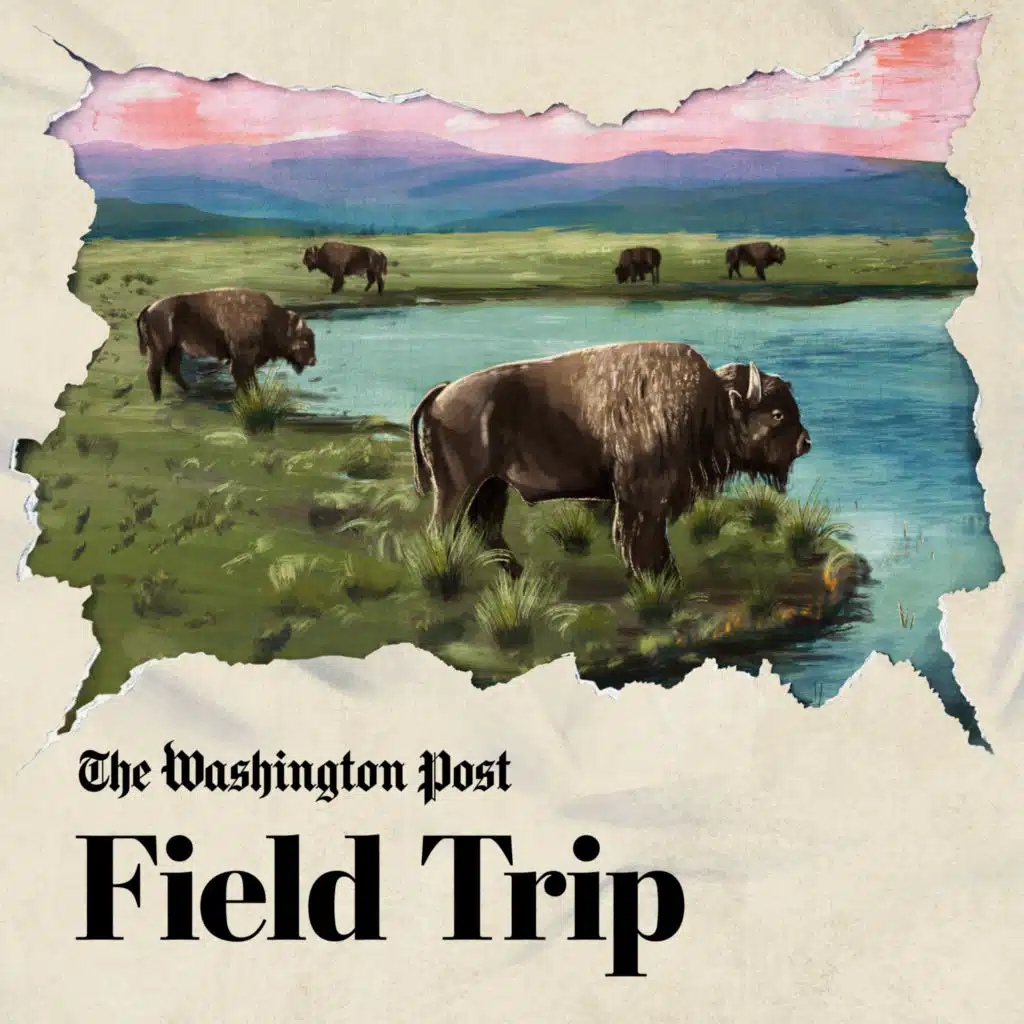 Glacier National Park