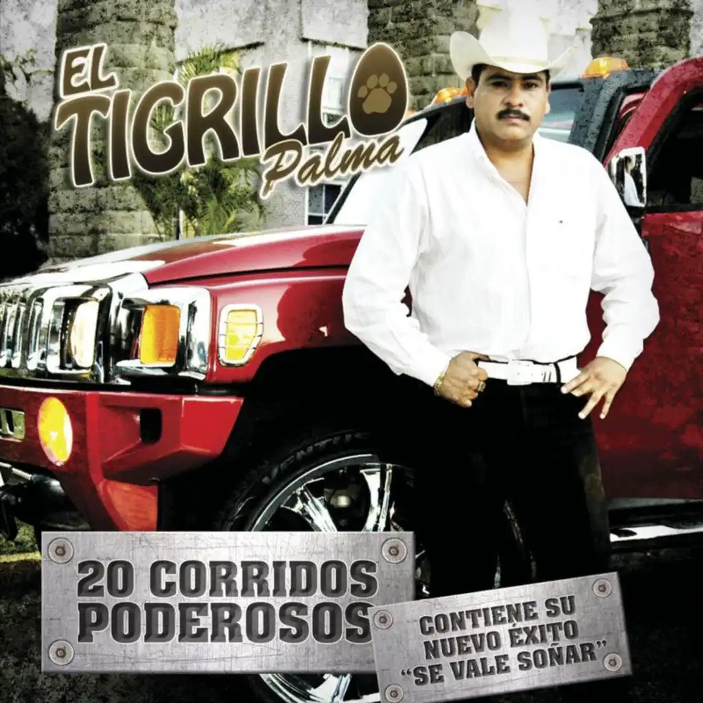 20 Corridos Poderosos