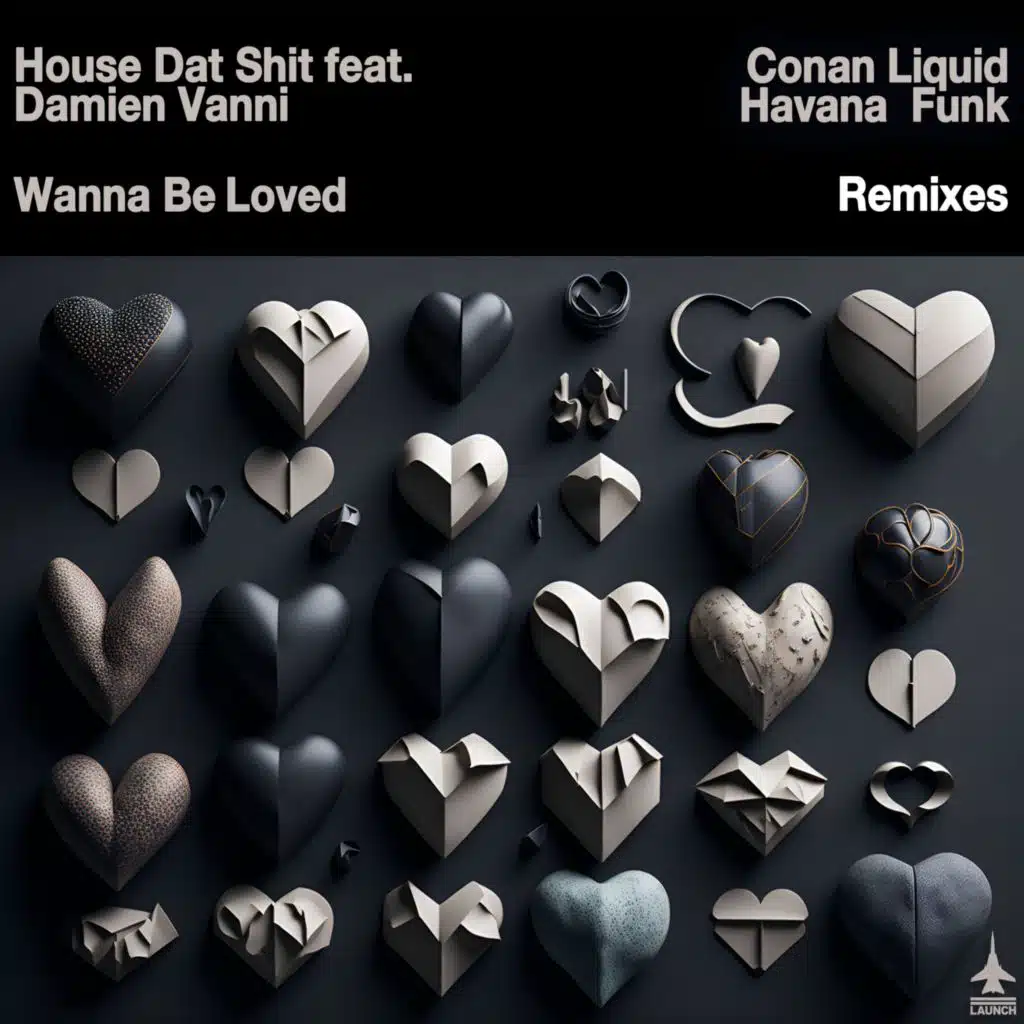 Wanna Be Loved (Conan Liquid and Havana Funk Remixes) [feat. Damien Vanni]