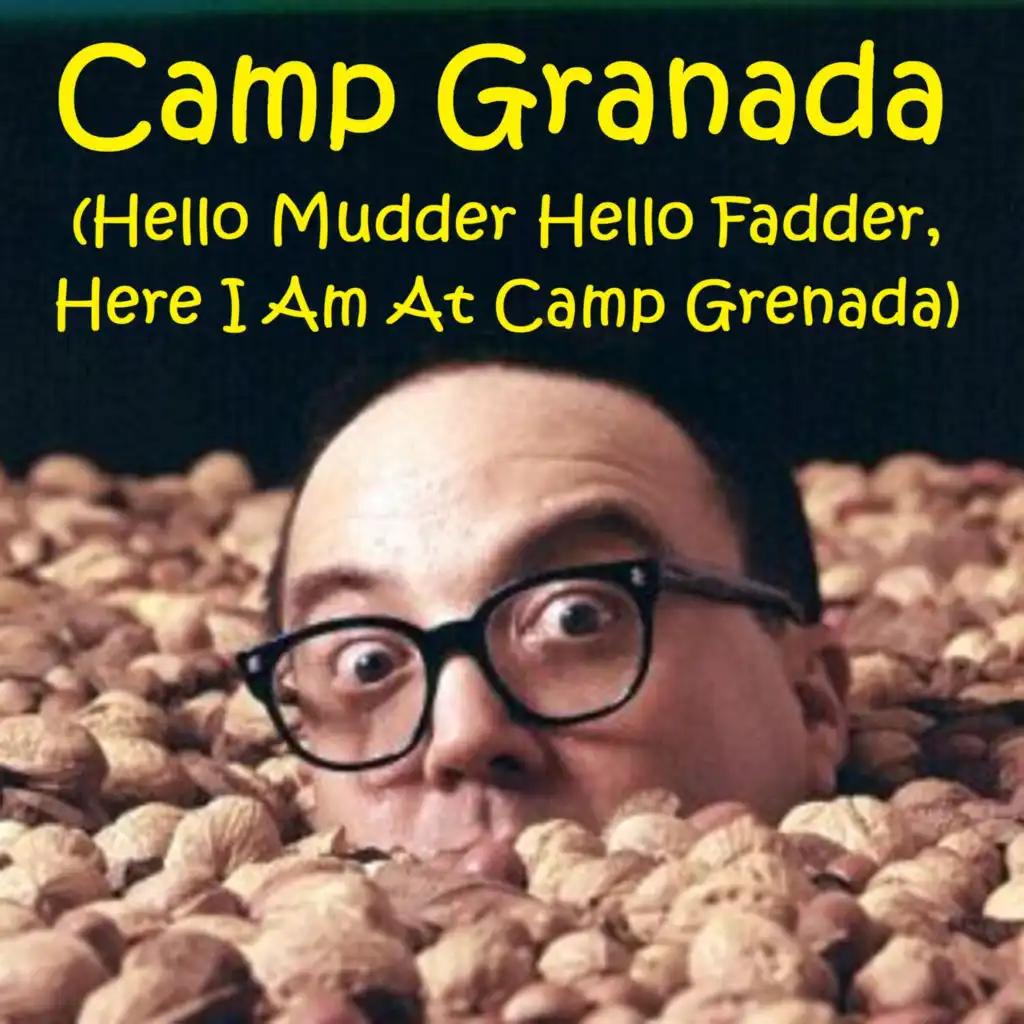 Hello Mudder Hello Fadder Here I Am At Camp Granada