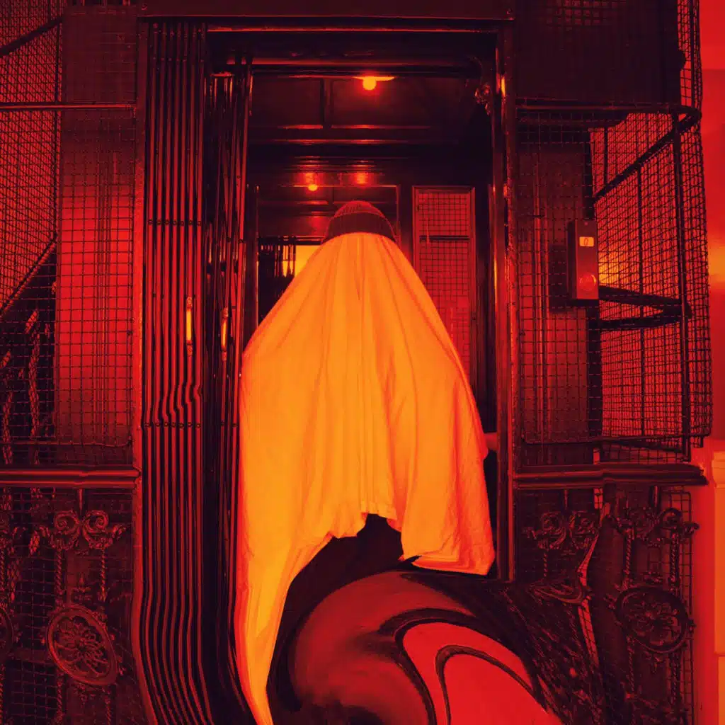 the Fox & the Butterfly