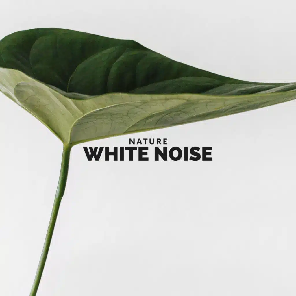 Natural White Noise Relaxation