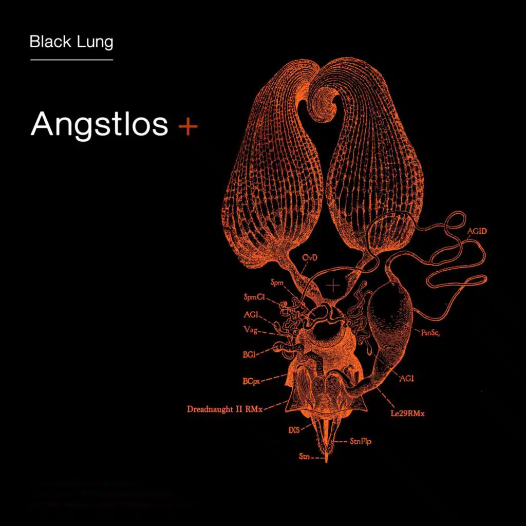 Angstlos (DreadNaught II RMX)
